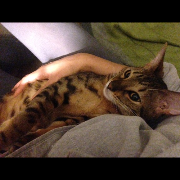 Meet your posher! - Picture 4 of 4