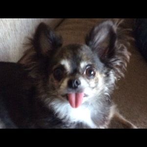 Meet your Posher, Annamarie