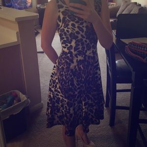 **MUST GO** A-line animal print dress NWOT