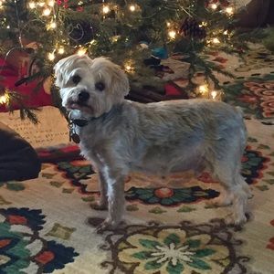 Meet your Posher, Lexi