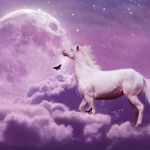 Meet your Posher, Natavia