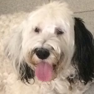 Meet your Posher, Jody