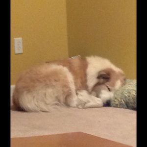 Meet your Posher, Margaret