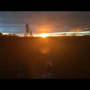 Meet your Posher, Anahi