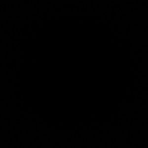 Meet your Posher, Braulio