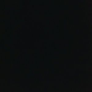 Meet your Posher, Liz