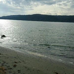 Meet your Posher, L'tanya