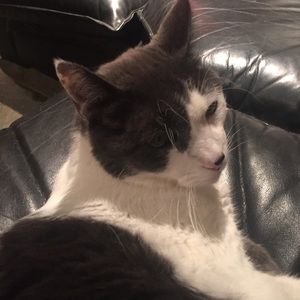 Meet your Posher, Marjorie