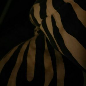 Meet your Posher, Jesseca