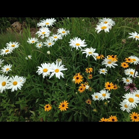 Meet your Posher, Jamie - Picture 1 of 1