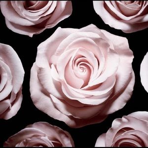 Meet your Posher, Erick