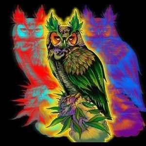 Meet your Posher, Edgar