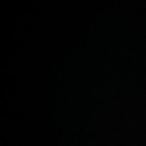 Meet your Posher, Adele