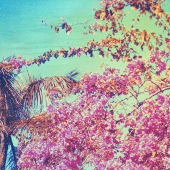 Meet your Posher - Picture 2 of 2