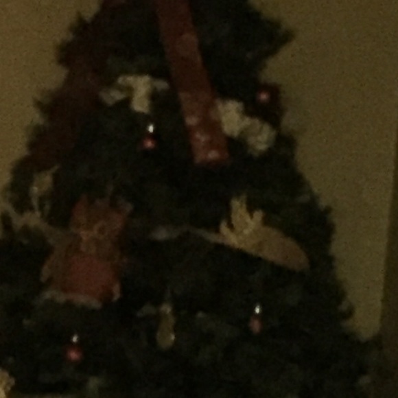 Meet your Posher, Ava