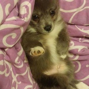 Meet your Posher, Alysia