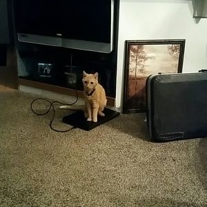 Meet your Posher, Kari