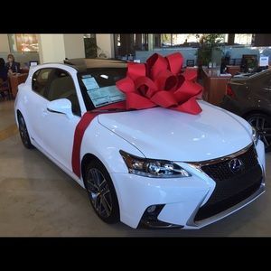 Meet your Posher, Arlene