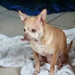 Meet your Posher, Tina