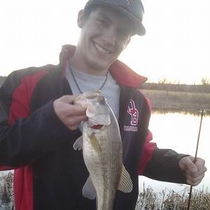 Meet your Posher, Chase