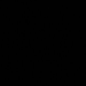 Meet your Posher, Vicky