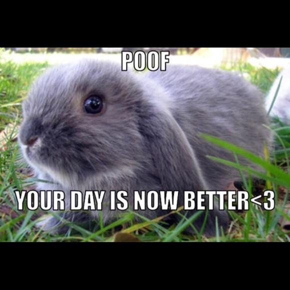 Bundle!