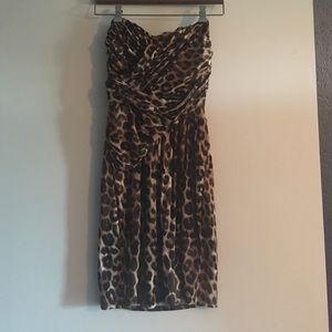 Express Strapless Cheetah Dress
