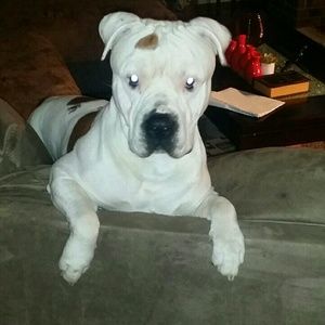 Meet your Posher, Lauren