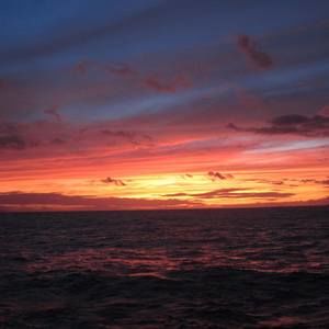 Meet your Posher, Anita