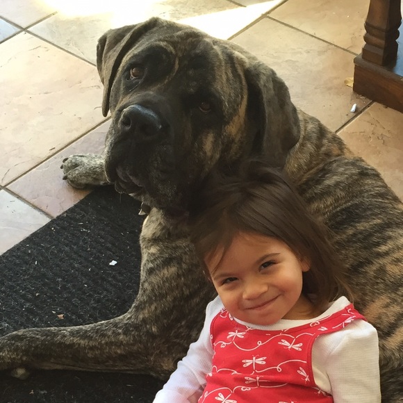 Meet your Posher, Burju - Picture 4 of 4