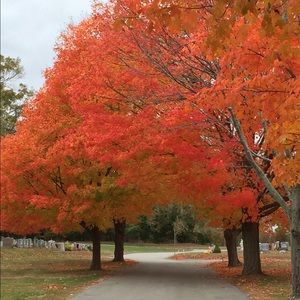 Meet your Posher, Chrissy