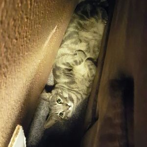 Meet your Posher, Marti