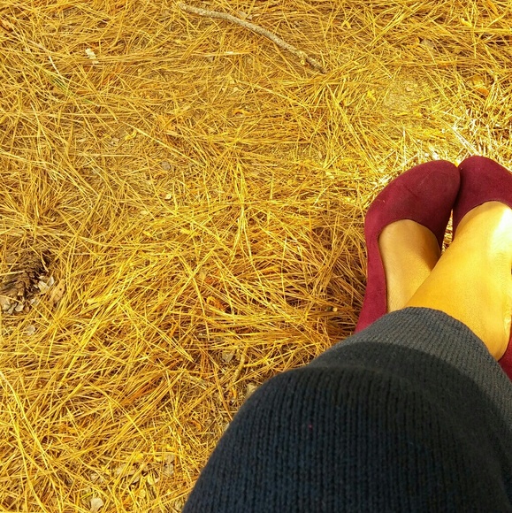 Meet your Posher, Victoria - Picture 7 of 8