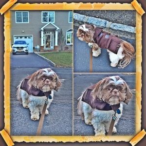 Meet Milo.. Styling A Wool Peacoat in Chocolate🐶