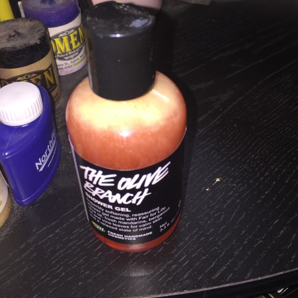 Lush Other - LUSH Brand New Body Wash