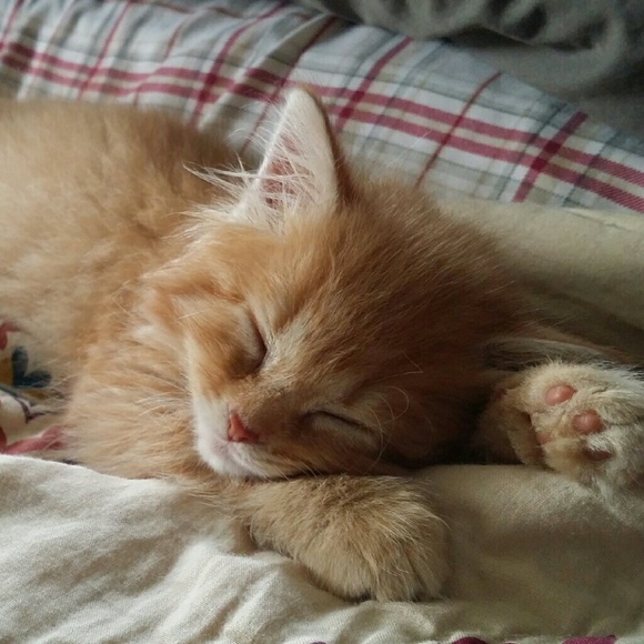 Meet your Posher, Robyn - Picture 1 of 1