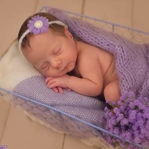 Meet your Posher, Sammy