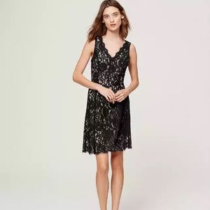 Ann Taylor Loft Black Lace v-neck dress
