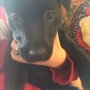 Meet your Posher, Meg