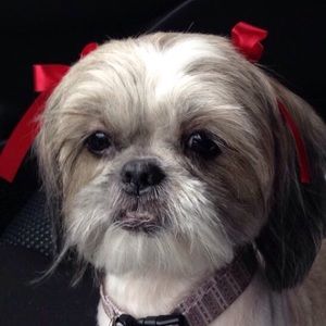 Meet your Posher, Valerie