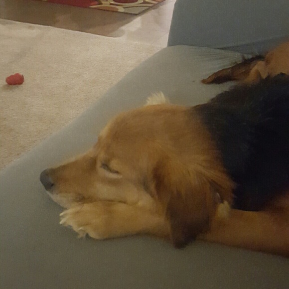 Meet your Posher, Kristy - Picture 1 of 1