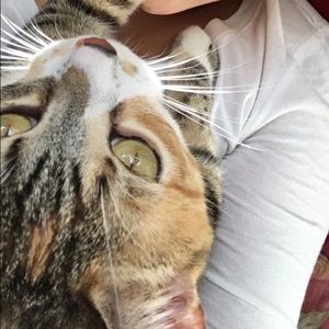 Meet your Posher, Jasmine