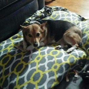 Meet your Posher, Jen