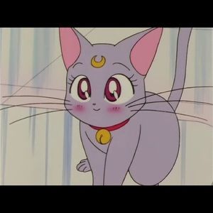 Meet your Posher, Leila