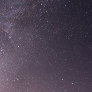 Meet your Posher, Trista