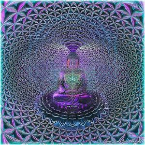 Meet your Posher, Ray