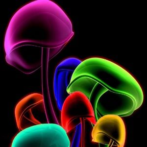 Meet your Posher, Candice