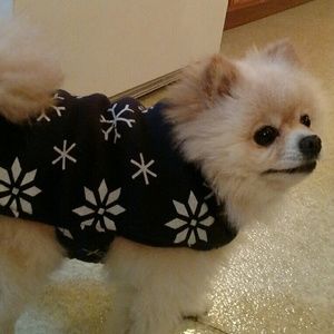 Meet your Posher, Dora