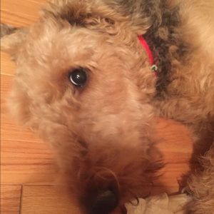 Meet your Posher, Claudene