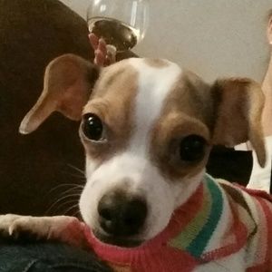 Meet your Posher, Meg